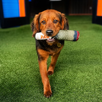 PawVora Doggy Doink