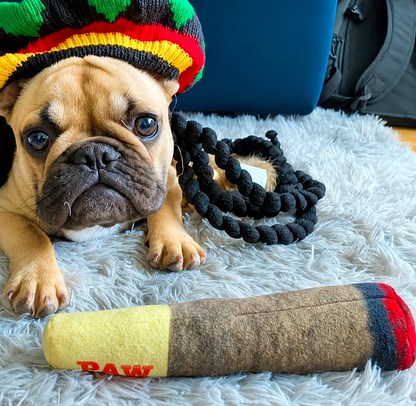 PawVora Doggy Doink